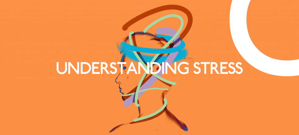 Understanding Stress: In Life and Exercise